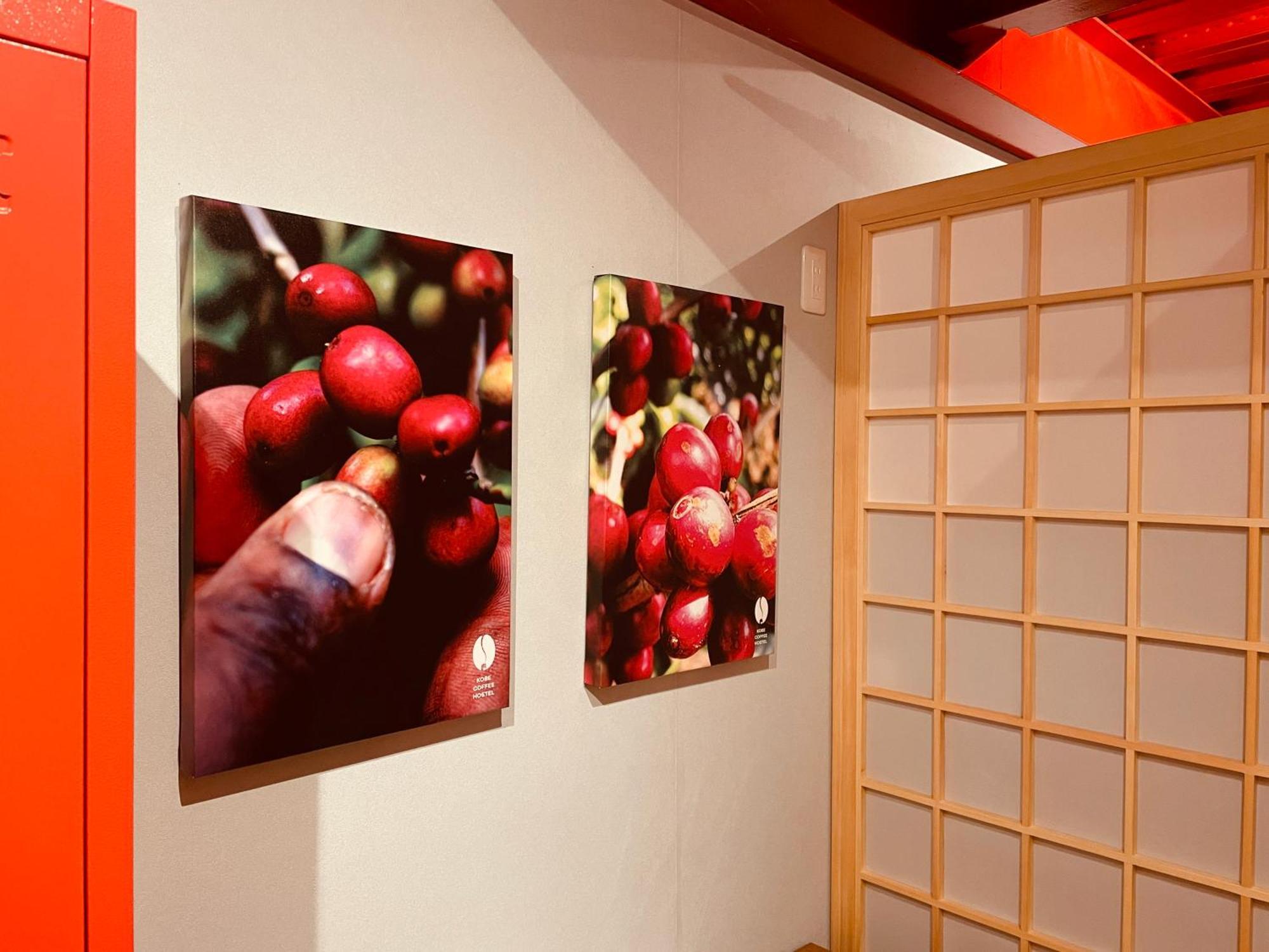 Kobe Coffee Hostel Exterior photo